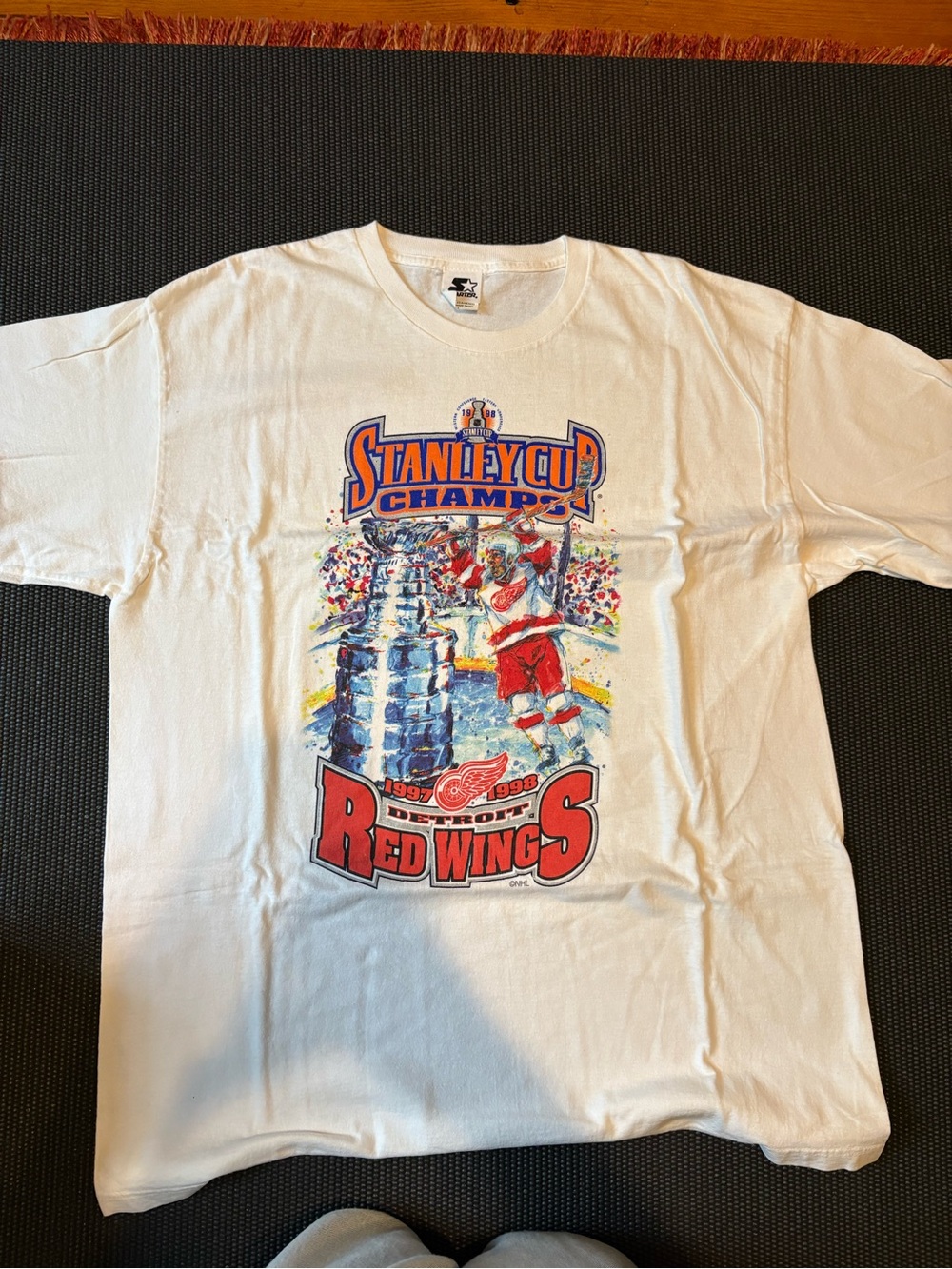 Vintage Starter Detroit Red Wings Stanley Cup Champions T-Shirt
